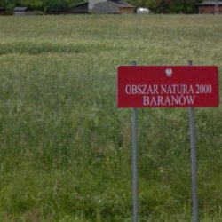 Obaszar Natura 2000 - Baranów