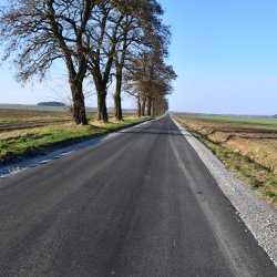 modernizacja drogi powiatowej 5689P poprzez wykonanie nakładki asfaltowej na odcinku Trzcinica – Piotrówka   - zrealizowano 851,20 mb