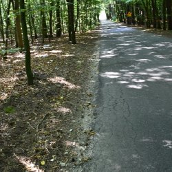 drogi powiatowej nr 5701P na odcinku Biadaszki – Trzebień w gminie Łęka  Opatowska