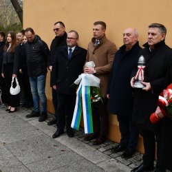 Wicestarosta Kępiński Alicja Śniegocka wraz z delegacjami pod pomnikiem