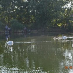 W trakcie wydarzenia