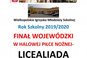 Finał Województwa Wielkopolskiego w Halowej Pił